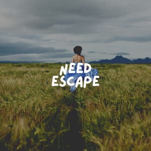 Need Escape - Soothing Music Academy