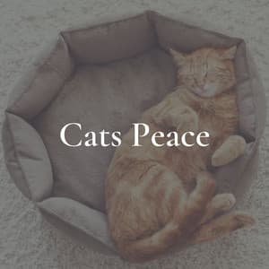 Cats Peace - Music for Cats Peace