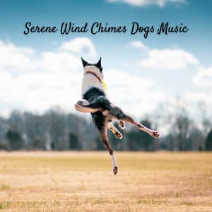 Serene Wind Chimes Dogs Music - Nature Label
