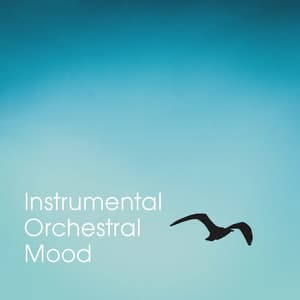 Instrumental Orchestral Mood - Relaxation Study Music