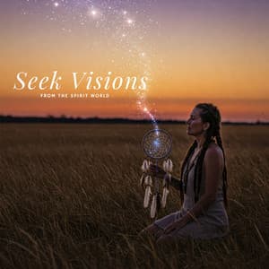Seek Visions from the Spirit World - Shamanimalistic