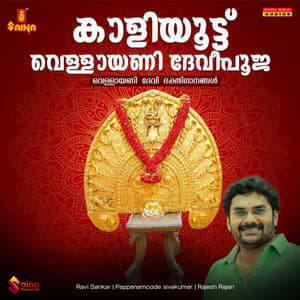 Kaaliyoottu Vellayani Devipooja - Ravi Sankar