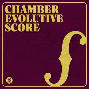 Chamber Evolutive Score - Warner Chappell Production Music