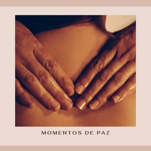 Momentos de Paz - Musica Zen Guru