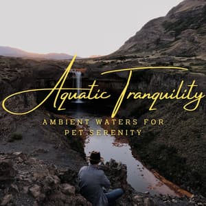 Aquatic Tranquility: Ambient Waters for Pet Serenity - Waterfalling