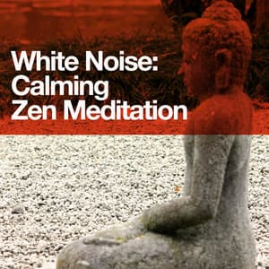 White Noise: Calming Zen Meditation - White Noise Masters