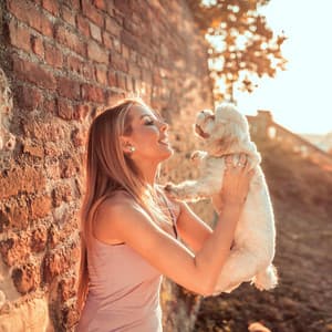 Dog Dayscape Harmony: Meditative Ambient Music - Sleeping Music For Dogs