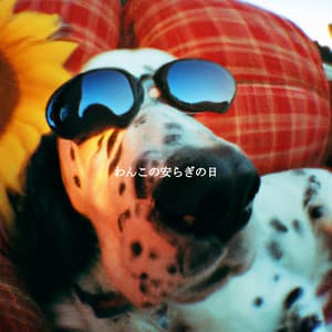 わんこの安らぎの日 - Focus at Work Jazz Playlist