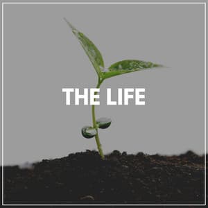 The Life - Epic Nature Sounds