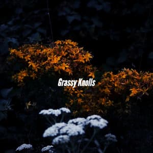 Grassy Knolls - Super Jazz Cafe Music