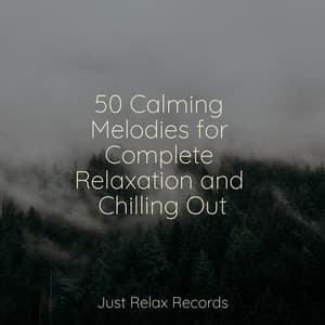 50 Calming Melodies for Complete Relaxation and Chilling Out - Forest Sounds