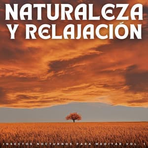 Naturaleza Y Relajación: Insectos Nocturnos Para Meditar Vol. 1 - Colección de sonidos de la naturaleza