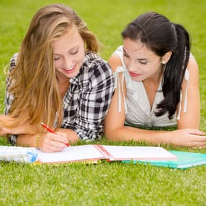 Harmonious Binaural Intelligence: A Waterfall and Singing Bowl for Study - Trickling Water Soundscape