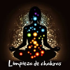 Limpieza de chakras: meditación tibetana guiada para equilibrar los chakras, cantar Om, calmar la mente, el cuerpo y el alma, ondas curativas de Reiki - Relajación Meditar Academie