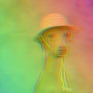 Backdrop for Doggy Work - Music for Pets Playlist