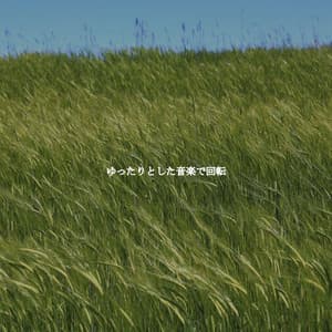 ゆったりとした音楽で回転 - Coffee Shop Lounge