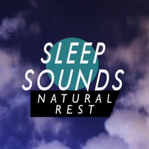 Sleep Sounds: Natural Rest - Soundscapes