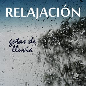 Relajación: Gotas de Lluvia - Lluvia Del Bosque