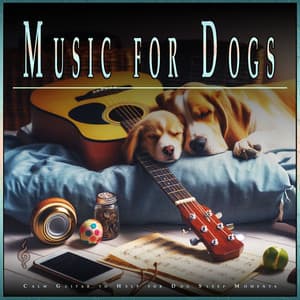 Music for Dogs: Calm Guitar to Help for Dog Sleep Moments - Dog Music Dreams