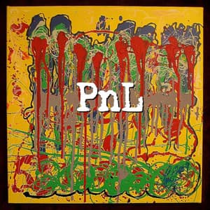 PNL - PNL
