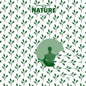 Sweet Dreams: Nature Sounds - Natural Sound Makers