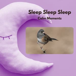 Calm Moments - Sleep Sleep Sleep