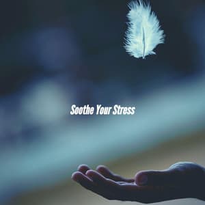 Soothe Your Stress - Jazz para Estudiar