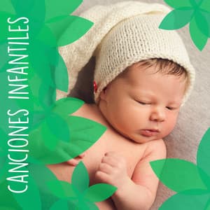 Canciones De Cuna Para Dormir Bebé Bee - Canciones Infantiles Bebe TaTaTa