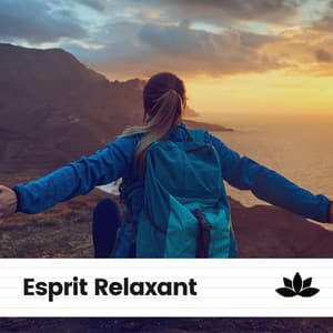 Esprit Relaxant - Zen Méditation Académie