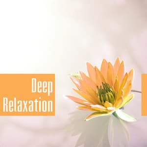 Deep Relaxation – Music for Spa, Massage, Wellness, Soothing Sounds to Rest, Calm Music - Day Spa Academy