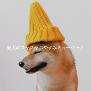 愛犬のスヤスヤおやすみミュージック - Jazz Ambiance