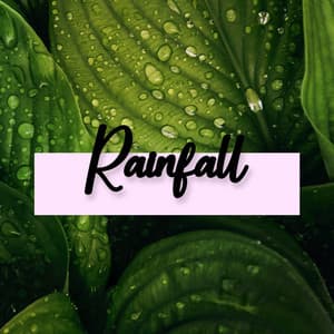 Rainfall - Nature Sounds