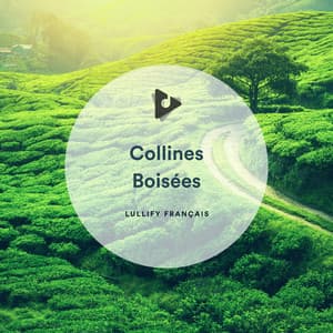 Collines Boisées - Lullify Français