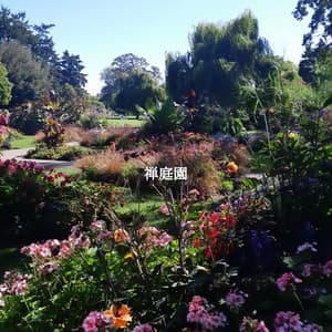 禅庭園 - Allegro Jazz Rilassante