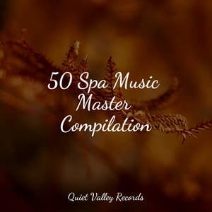 50 Spa Music Master Compilation - Rain Sounds XLE Library