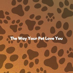 The Way Your Pet Love You - Chic Hotel Lobby Music