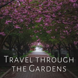 Travel through the Gardens - Healing Frequencies