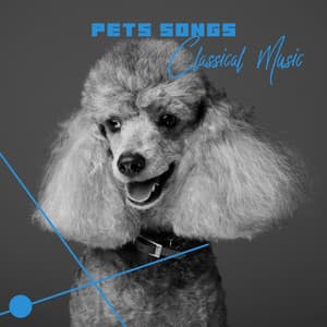 Pets Songs, Classical Music, Friends Love While You Are Gone, Dogs Classical Relaxation - Pets Music