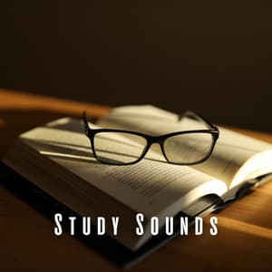 Study Sounds: Chill Music for Educational Moments - Motivation Songs Academy