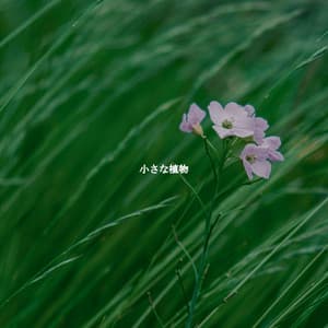 小さな植物 - Jazz para Estudiar