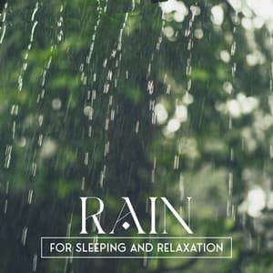 Rain for Sleeping and Relaxation - Gentle Nature Sounds Ensemble