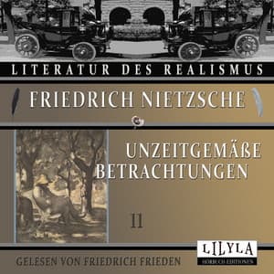 Unzeitgemäße Betrachtungen 11 - Friedrich Frieden