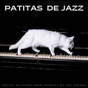 Patitas De Jazz: Música De Piano Para Amantes De Los Perros - Jazz Acustico