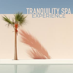 Tranquility Spa Experience - Solara Dawn