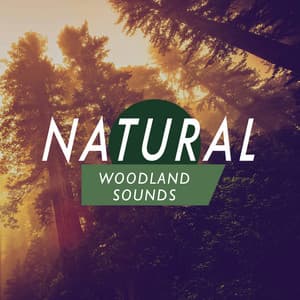 Natural Woodland Sounds - The Healing Sounds of Nature