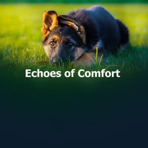 Echoes of Comfort - Relaxmydog