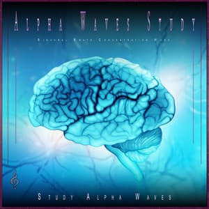 Alpha Waves Study: Binaural Beats Concentration Mode - Study Alpha Waves