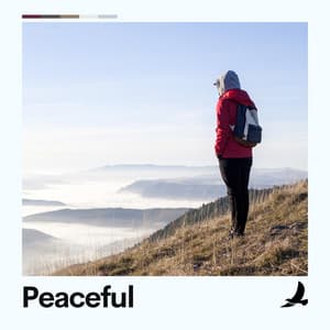 Peaceful - Ambient Music Collective