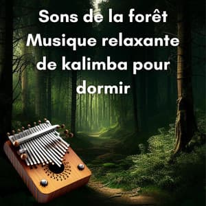 Sons de la forêt: Musique relaxante de kalimba pour dormir - New Age Musique Zen