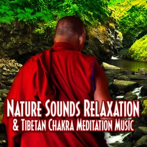 Nature Sounds Relaxation & Tibetan Chakra Meditation Music - Music For Relaxation